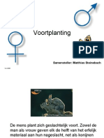 Voortplanting