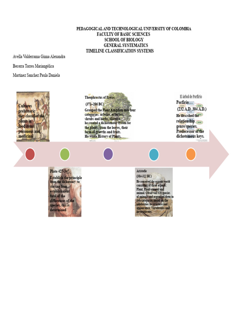 Timeline of Classification Systems | PDF | Species | Taxonomy (Biology)