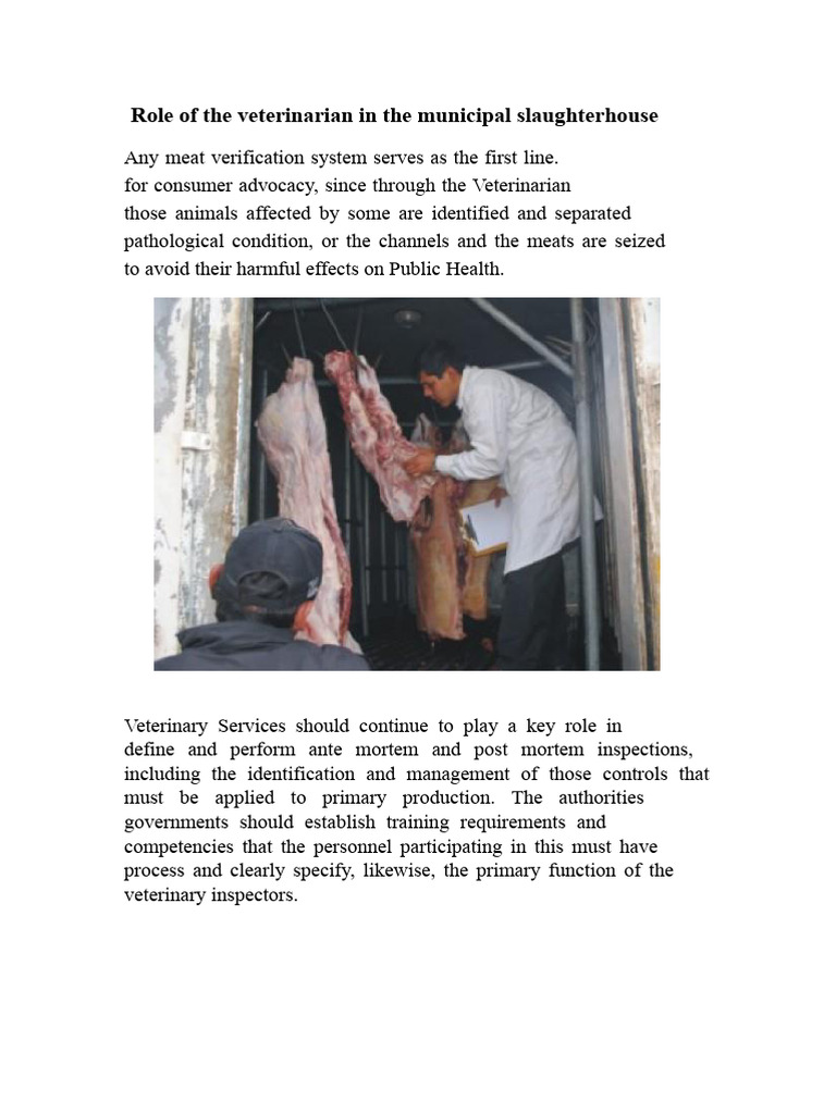 Veterinarian's Role in Slaughterhouse Safety | PDF | Slaughterhouse ...
