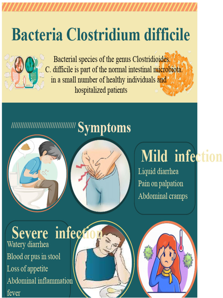 Clostridium Difficile: Symptoms & Infection | PDF