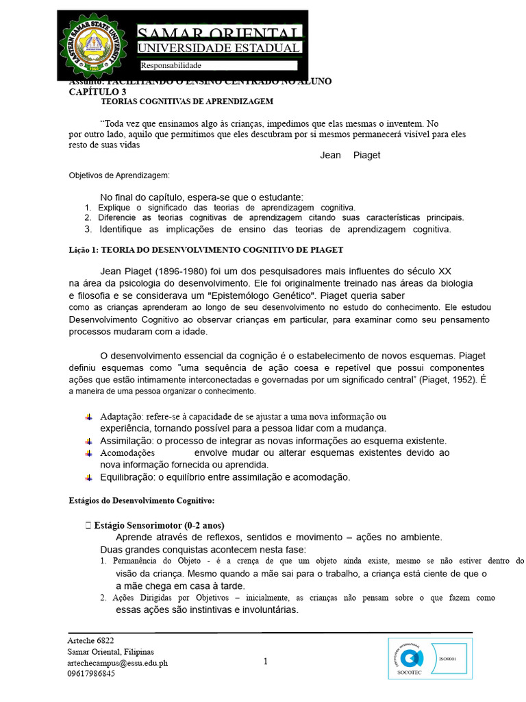 Teorias Cognitivas de Aprendizagem e Ensino | PDF | Aprendizado ...