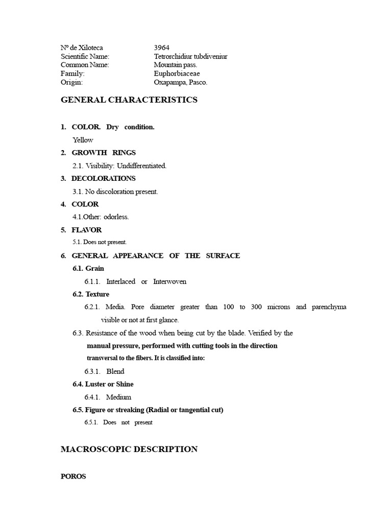 COL DE MONTE - Anatomical Description | PDF | Porosity | Wood