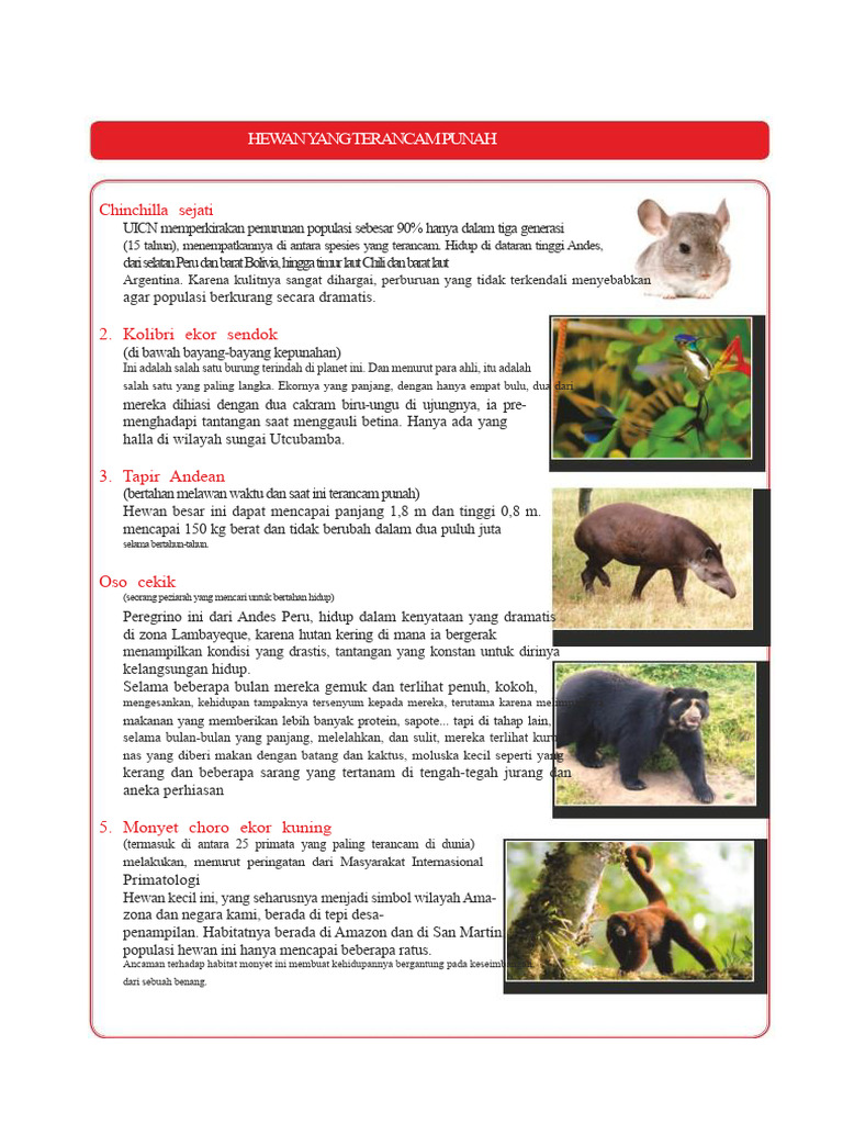 Hewan Terancam Punah di Indonesia | PDF
