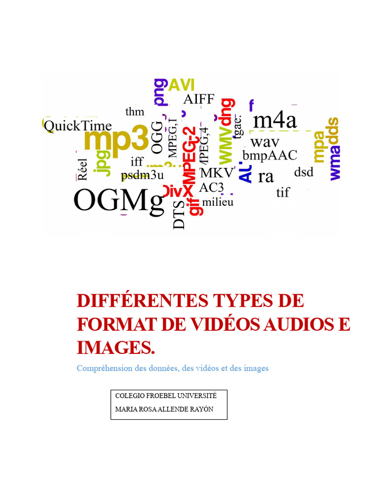 Formats de fichiers audio et vidéo expliqués | PDF | MP3 | Compression ...