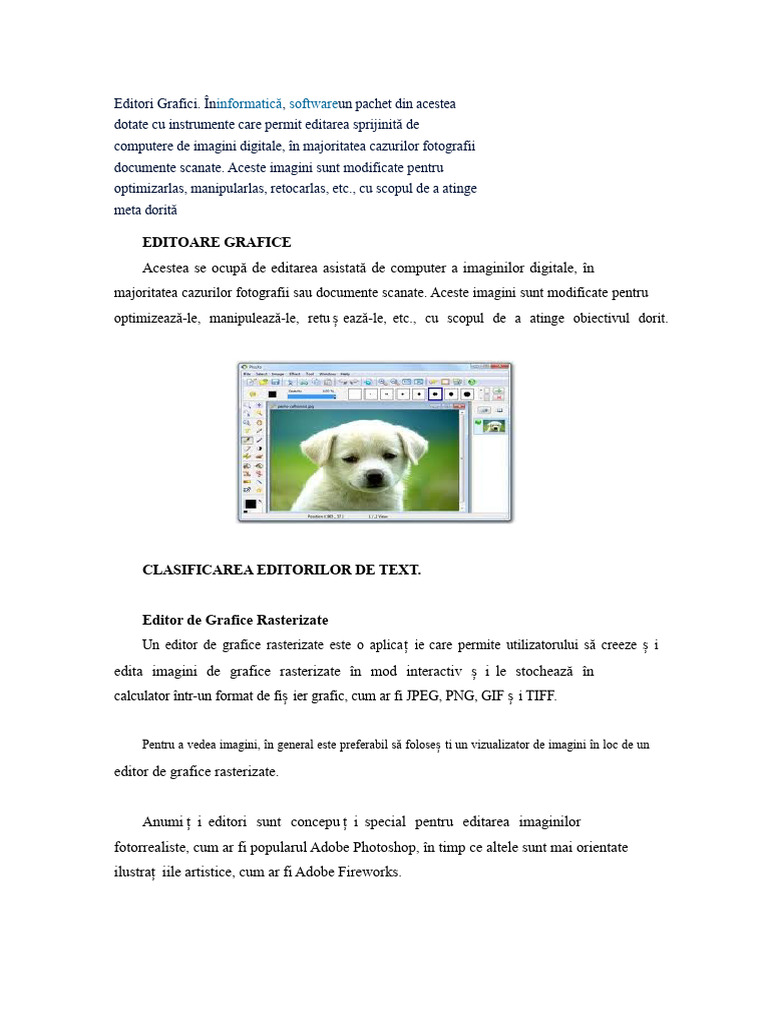 Editori Grafici | PDF