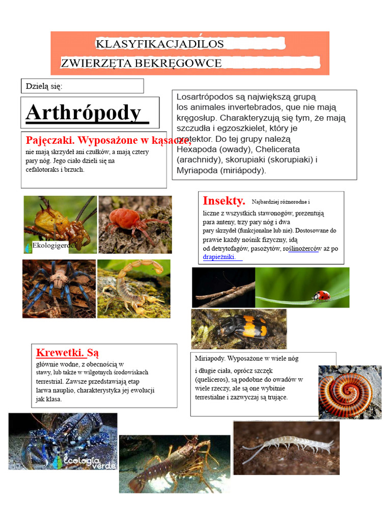 Fasfa | PDF