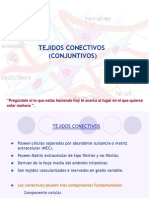 4aClase-Tejido_Conectivo