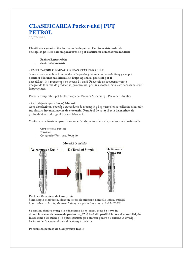 Clasificarea Packer-Ilor | PDF