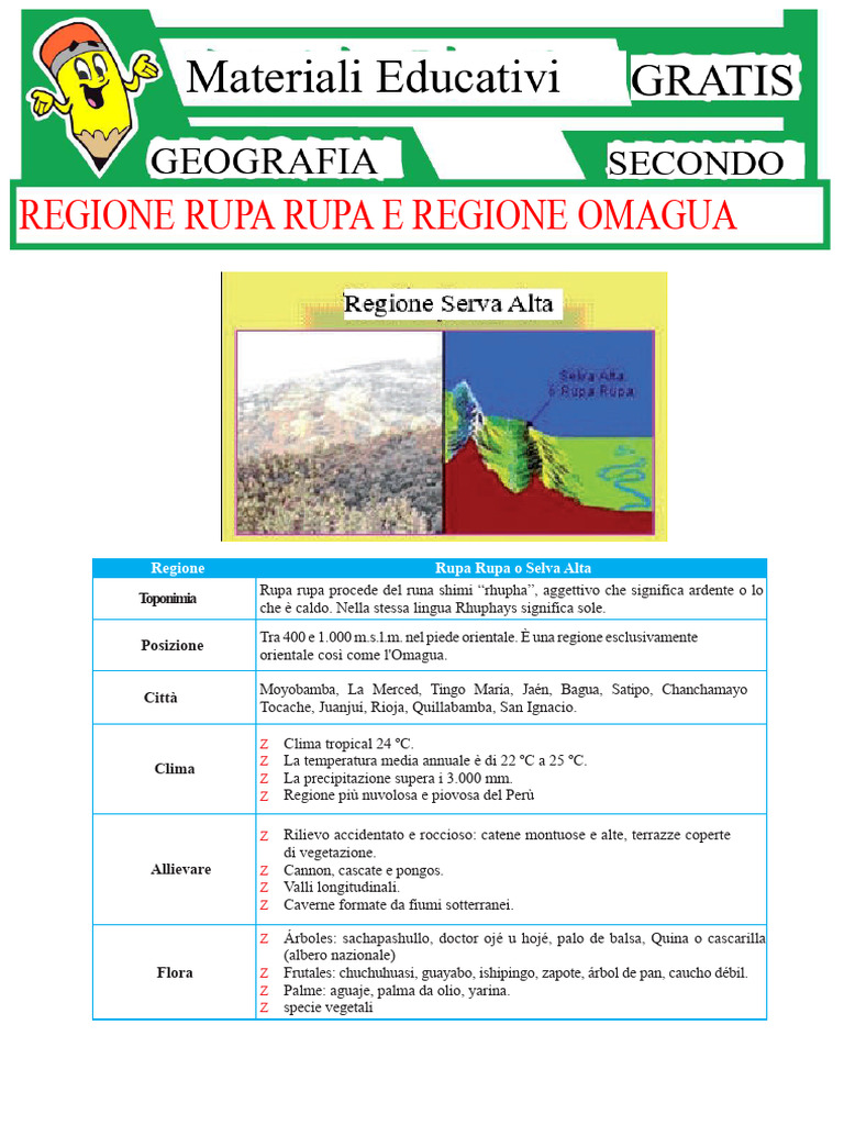 Regione Rupa Rupa e Regione Omagua Per Secondo Grado Di Secundaria | PDF