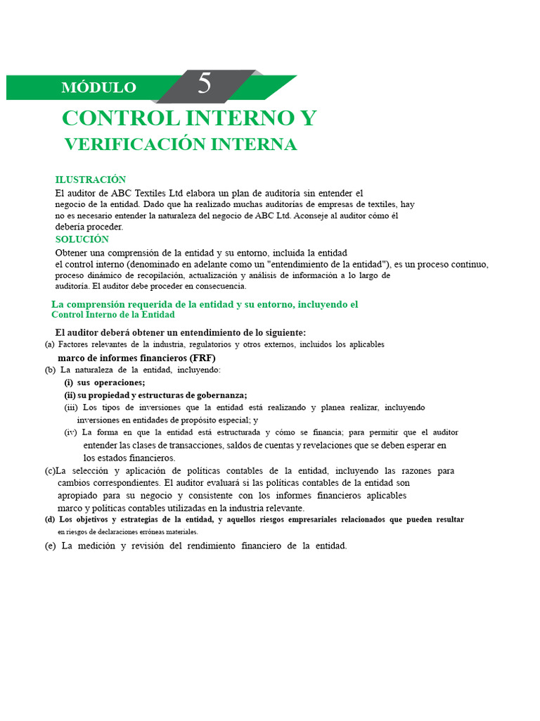Control Interno y Auditoría Efectiva | PDF | Auditoría | Contralor