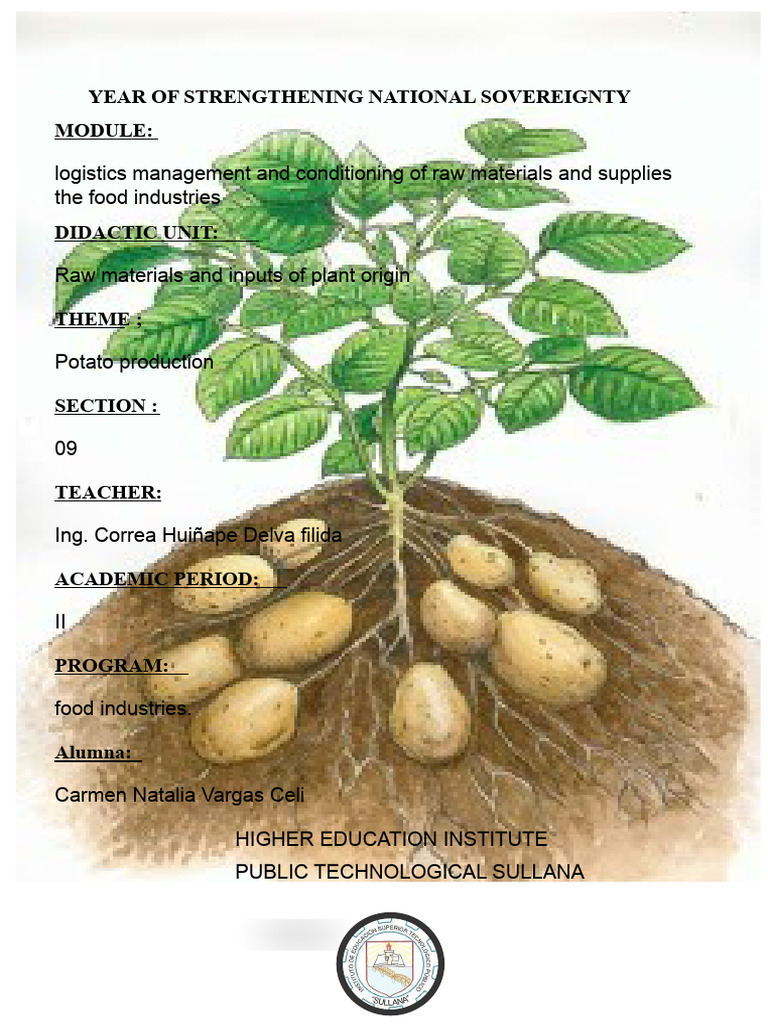 Potato Production and Management Guide | PDF | Potato | Foods