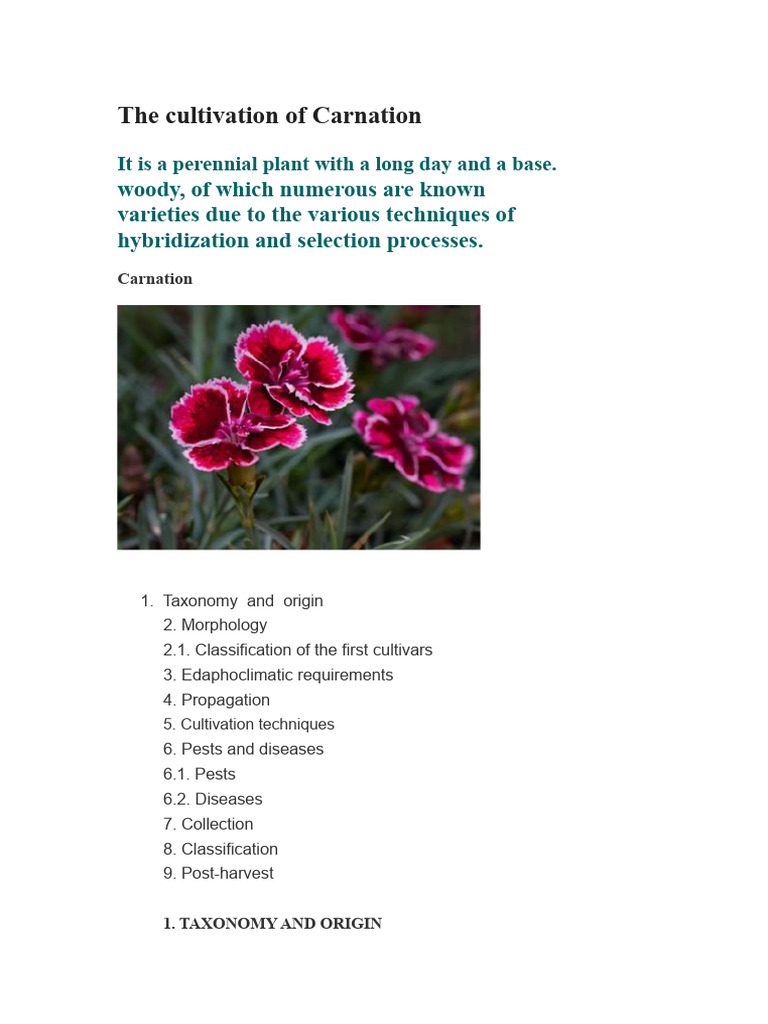 Comprehensive Guide to Carnation Cultivation | PDF | Soil | Biological ...