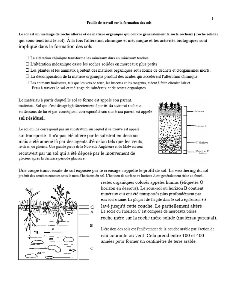 Formation et conservation des sols | PDF | Sol (pédologie) | La nature