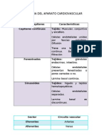 Histologia Del Aparato Cardiovascular