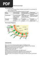 Download Embryology Made Ridiculously Simple Handout by Aya Sobhi SN92600416 doc pdf