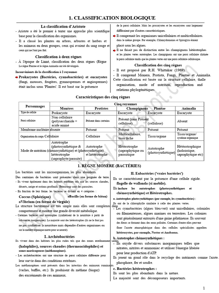 Classification biologique des organismes | PDF | Bactérie | Cellule ...