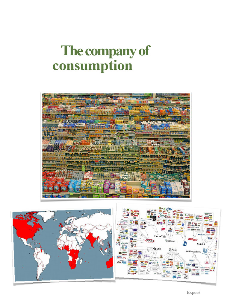 Pros and Cons of Consumer Society | PDF