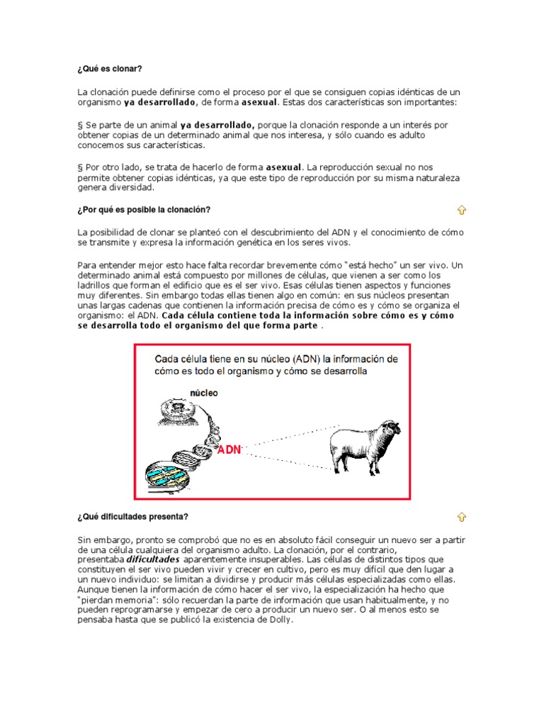 Qué es clonar Clonación Organismos