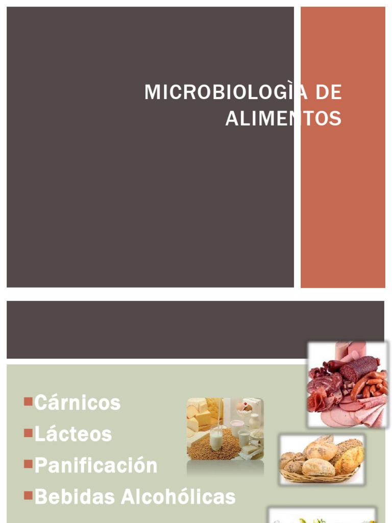 Microbiologìa de Alimentos | PDF | Alimentos | Las bacterias