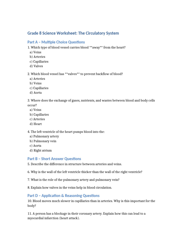 Circulatory System Worksheet Answers | PDF