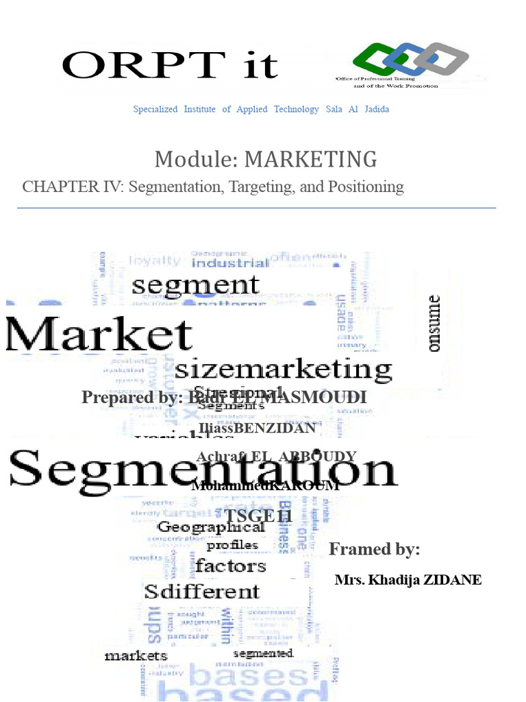 Market Segmentation and Positioning Guide | PDF | Market Segmentation ...
