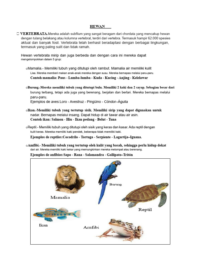 Klasifikasi Hewan: Vertebrata dan Invertebrata | PDF
