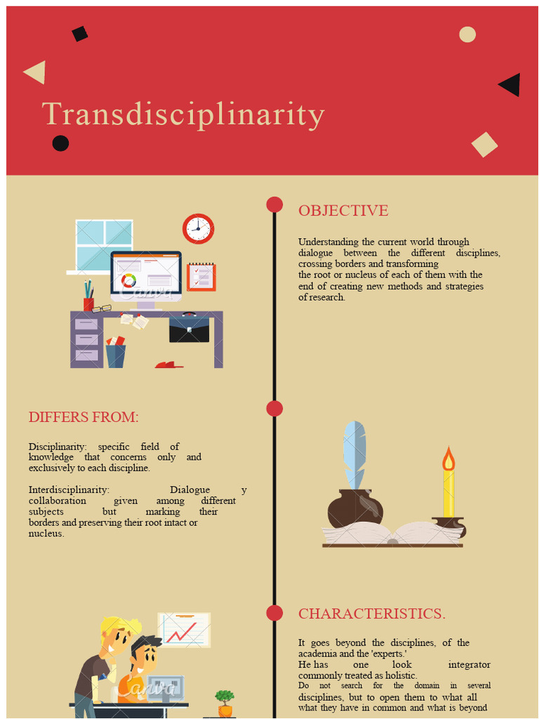 Understanding Transdisciplinarity | PDF