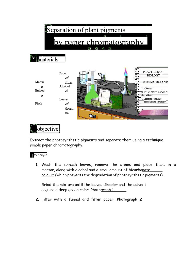 Spinach Pigment Separation via Chromatography | PDF | Thin Layer ...