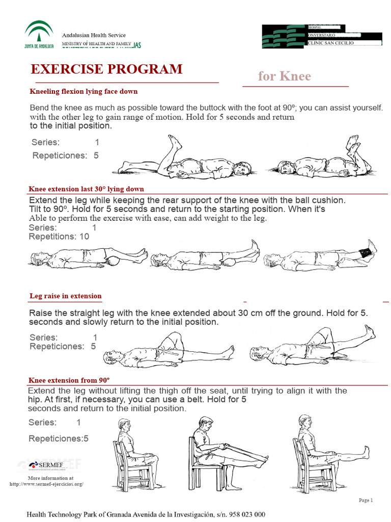Knee Exercise Program Guide | PDF | Anatomical Terms Of Motion | Knee