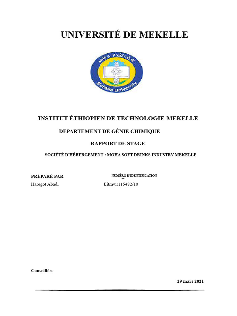 Rapport de stage chez MOHA Drinks | PDF | Filtration | Ultra-violet