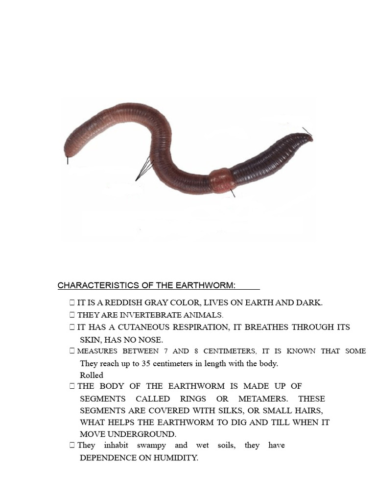 Key Characteristics of Earthworms | PDF | Soil | Decomposition