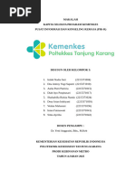 Arti dan Tujuan PIK-R untuk Remaja | PDF