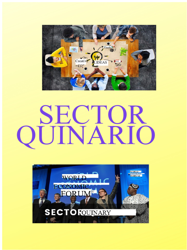 Understanding the Quinary Sector | PDF