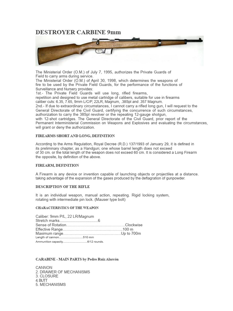 Destroyer Carbine 9mm Overview | PDF | Firearms | Cartridge (Firearms)