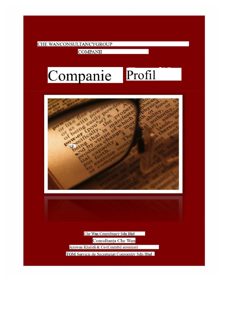 Profilul Companiei | PDF