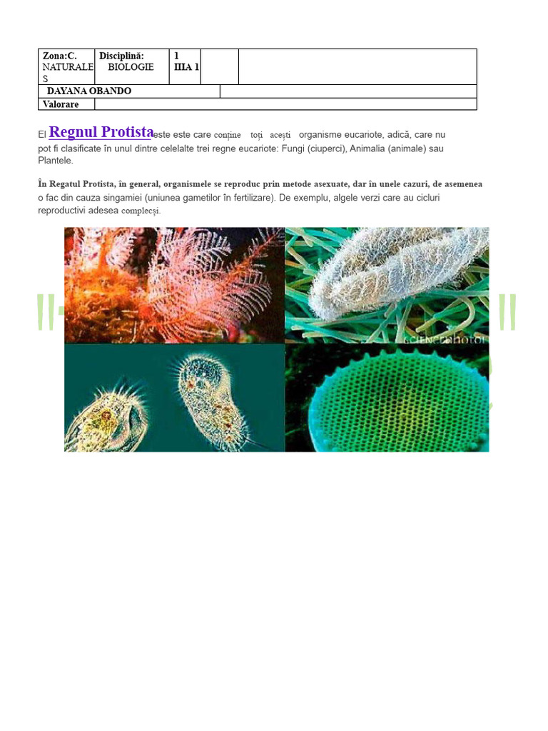 Examen Final CLASA IIIB REGATUL PROTISTA | PDF