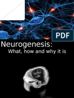 Neurogenesis