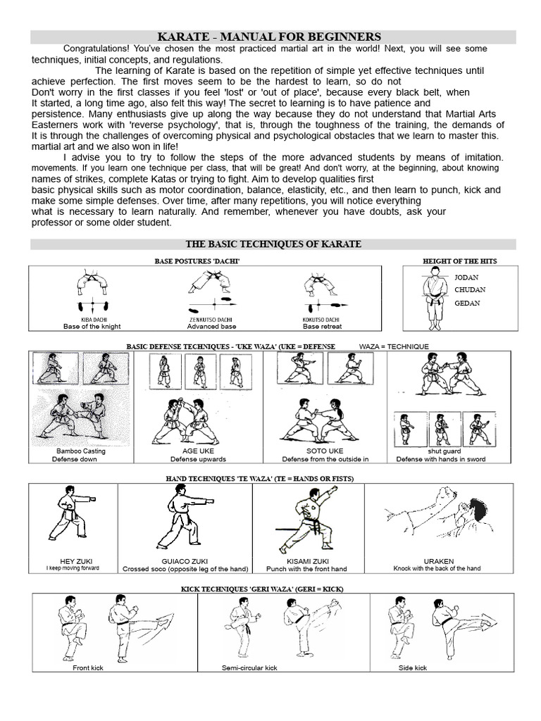 Karate Manual For Beginners 2015 | PDF | Karate | Shotokan