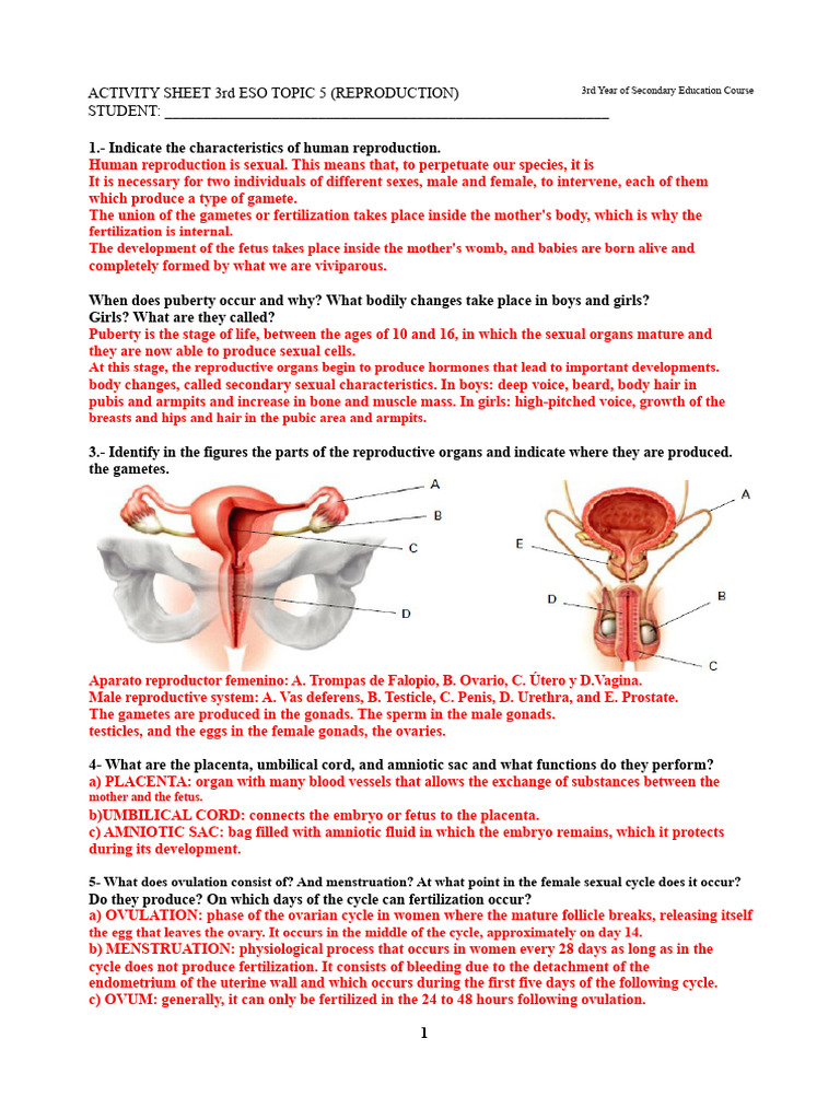 ACTIVITY SHEET 3rd YEAR OF ESO TOPIC 5 (REPRODUCTION) - TEMPLATE | PDF ...
