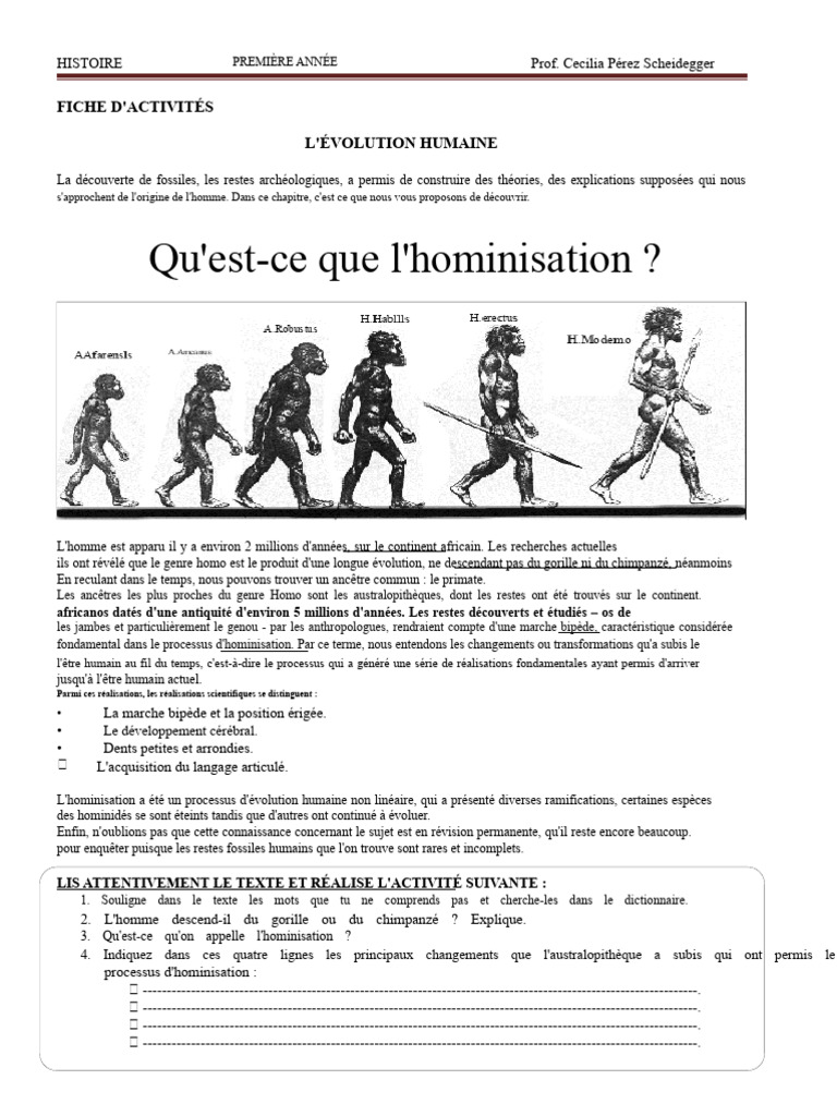 Évolution humaine : hominisation et ancêtres | PDF | Évolution humaine ...