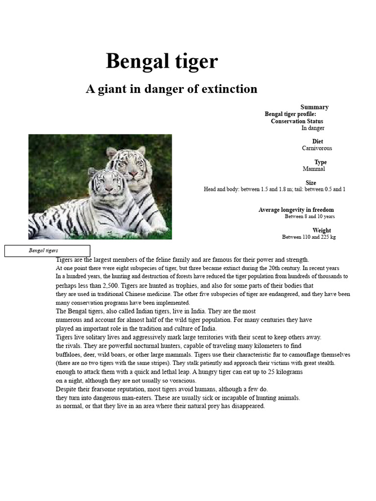 Bengal Tiger: Endangered Species Profile | PDF | Tiger | Predation