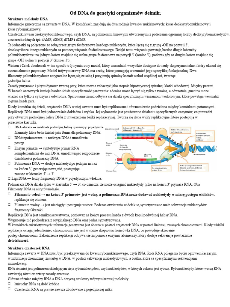 Od DNA Do Genetyki Mikroorganizmów | PDF
