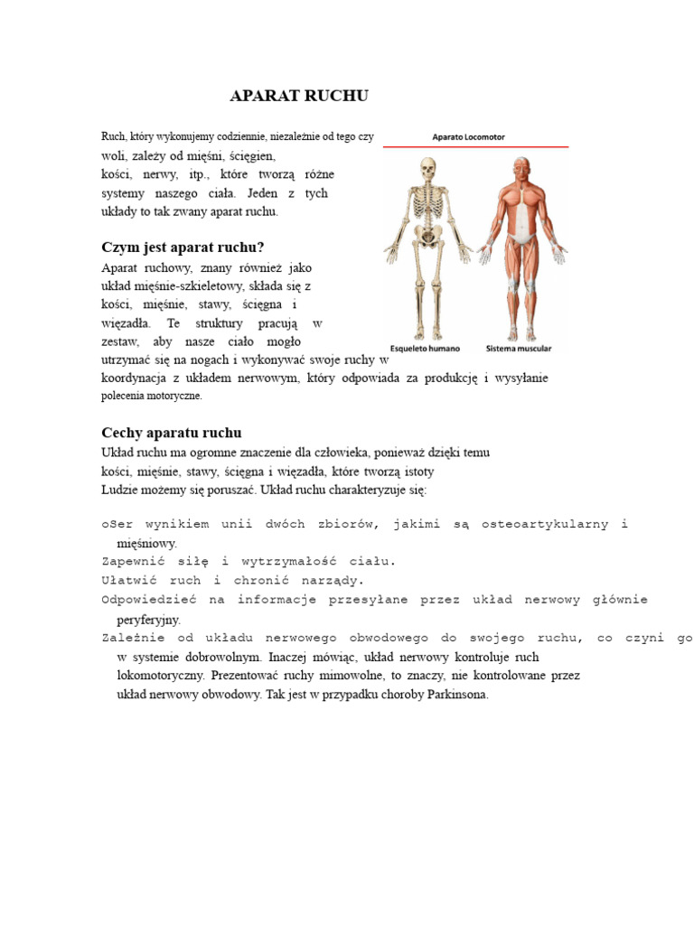 Aparat Ruchu | PDF