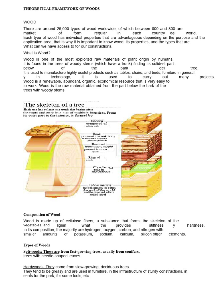 Understanding Wood Composition and Types | PDF | Wood | Trees