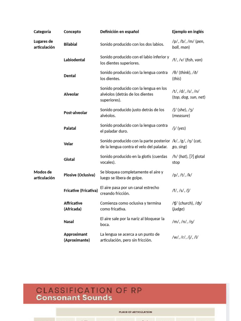 Sonidos y Articulación del Habla | PDF | Voz humana | Fonética