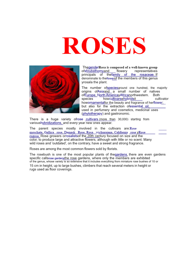 Comprehensive Guide to Roses | PDF