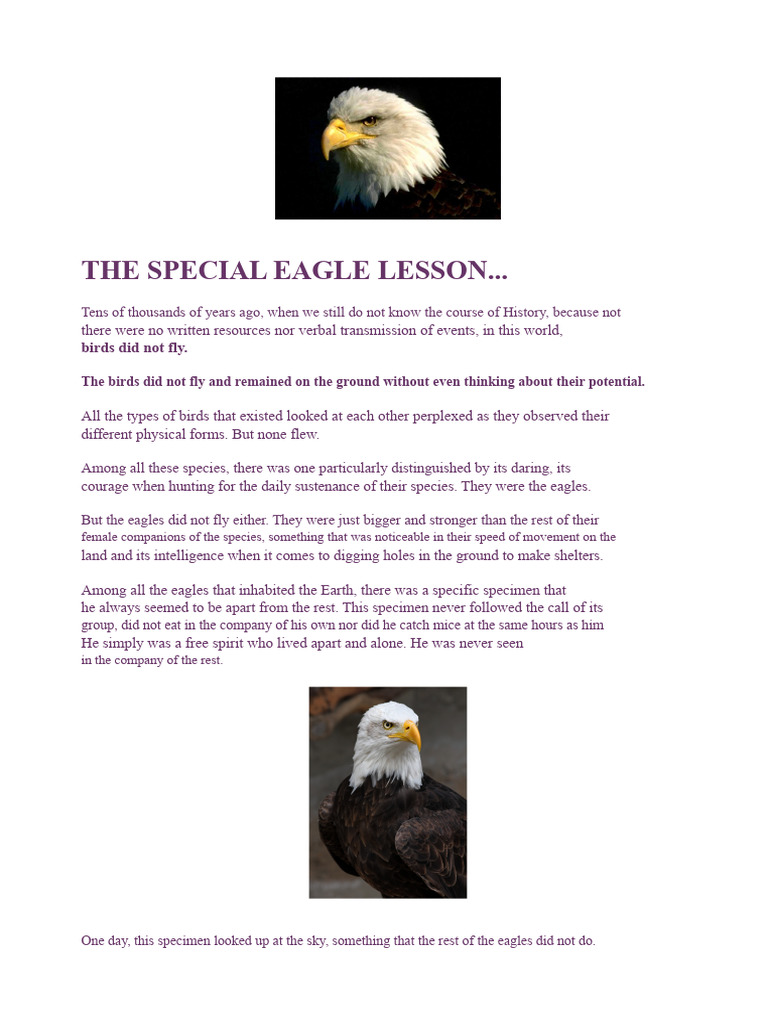 The Deaf Eagle: Lessons on Dreams | PDF