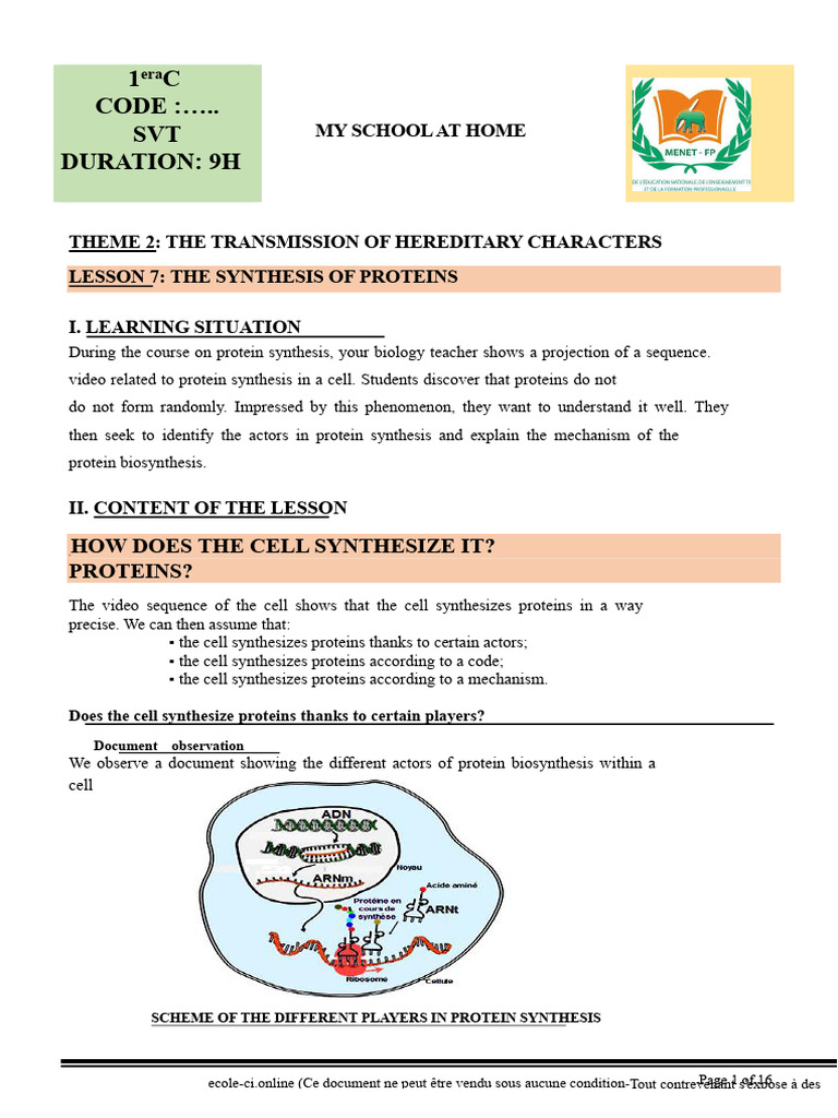 Biology 1st Year C - L6 - Protein Synthesis | PDF | Translation ...
