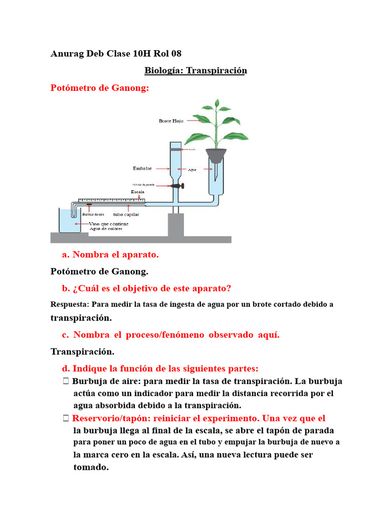 Notas de Clase Sobre El Potómetro ICSE y La Transpiración Desigual ...
