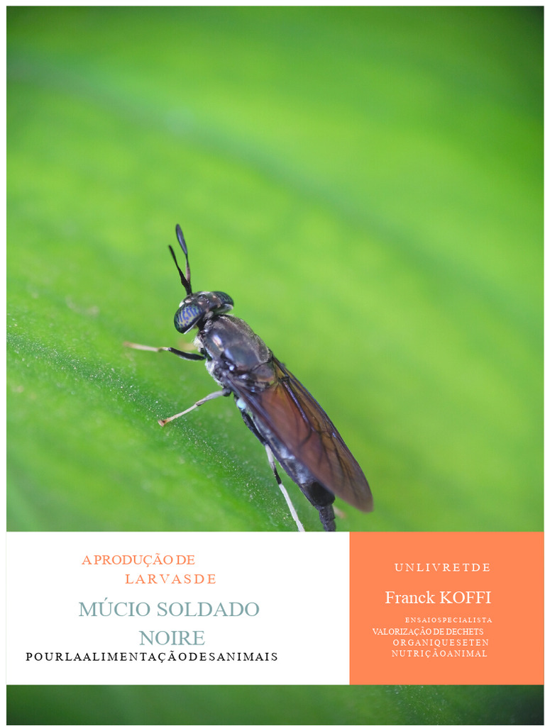 Produção Sustentável de Larvas de Mosca | PDF | Insetos | Mosca